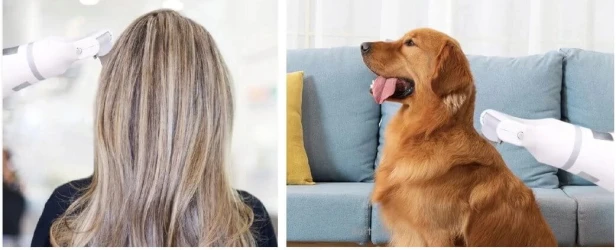 GRZBWSZ.jpg