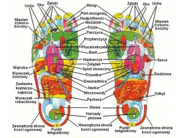 pol_pl_Plastry-oczyszczajace-na-stopy-detox-kinoki-10-szt-913_3.webp