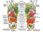 pol_pl_Plastry-oczyszczajace-na-stopy-detox-kinoki-10-szt-913_3.webp