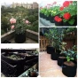 FILCOWA-TORBA-SADZENIA-ROSLIN-OGRODOWYCH-25X30.webp