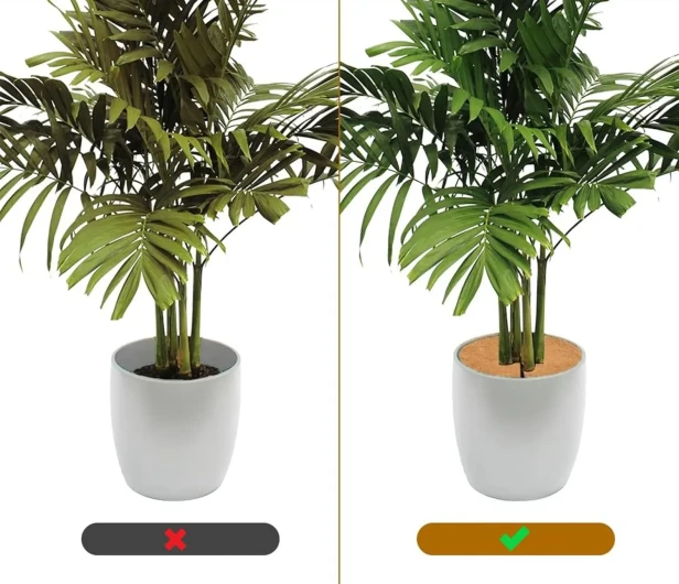 osłona-kokosowa-krazki-mata-chastom- (7).webp